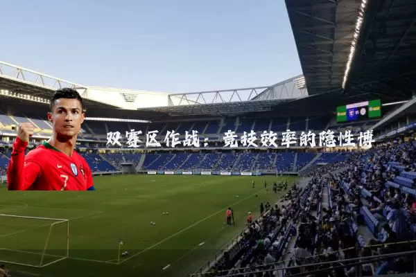双赛区作战：竞技效率的隐性博弈